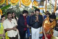 Gandharva Movie Opening